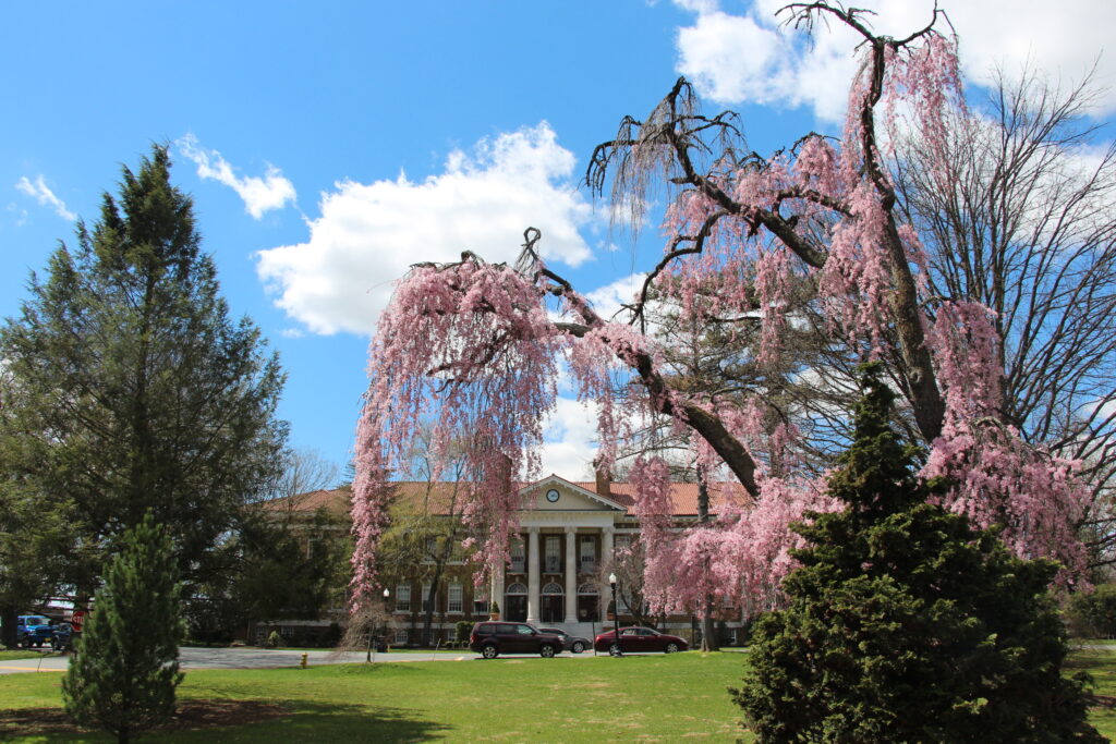 The Cedar Crest Campus in Spring