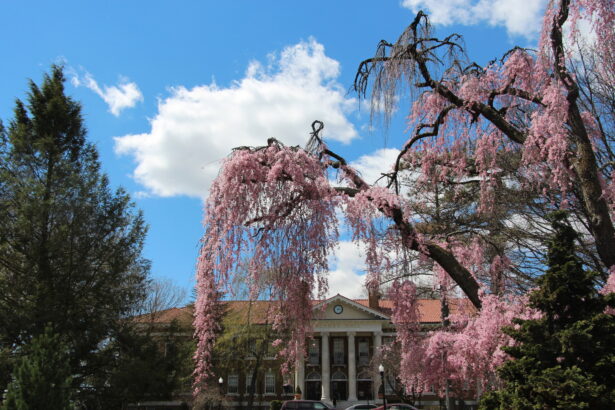 Blaney Hall Blooms in Spring
