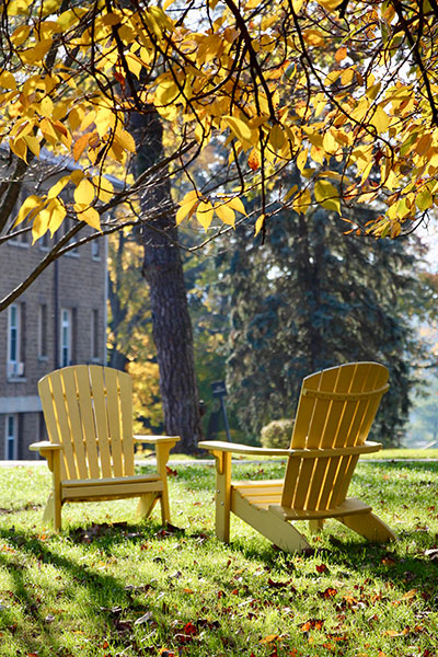 Chairs and Trees